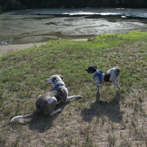 20250808_Dog Park__DSC0188_.jpg