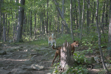 20250808_Dog Park__DSC0201_.jpg
