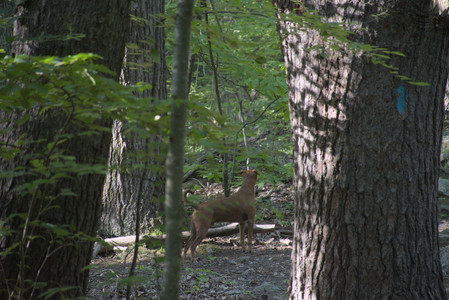 20250808_Dog Park__DSC0210_.jpg