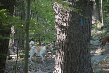 20250808_Dog Park__DSC0212_.jpg