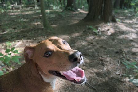 20250808_Dog Park__DSC0259_.jpg