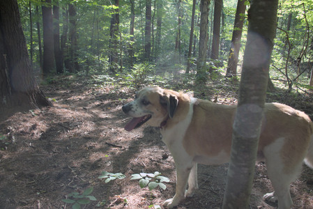 20250808_Dog Park__DSC0261_.jpg