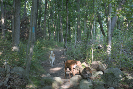 20250808_Dog Park__DSC0271_.jpg