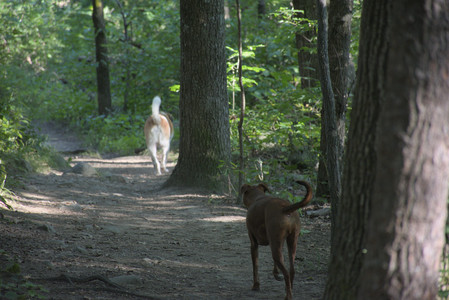20250808_Dog Park__DSC0280_.jpg