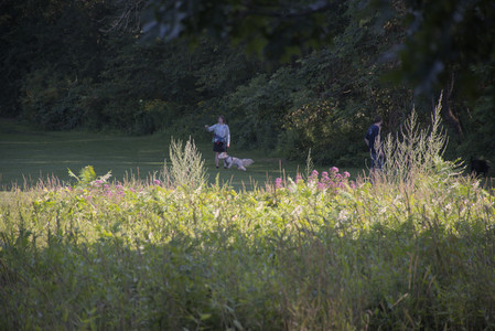 20250808_Dog Park__DSC0282_.jpg
