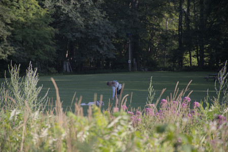 20250808_Dog Park__DSC0283_.jpg