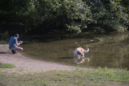20250808_Dog Park__DSC0284_.jpg