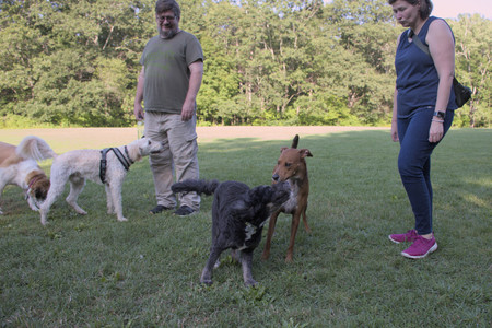 20250808_Dog Park__DSC0288_.jpg