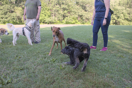 20250808_Dog Park__DSC0289_.jpg