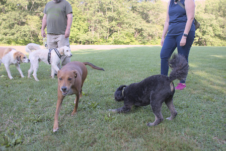 20250808_Dog Park__DSC0290_.jpg