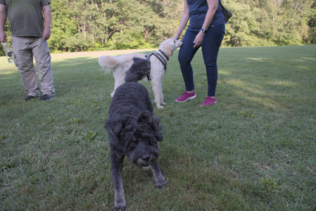 20250808_Dog Park__DSC0291_.jpg