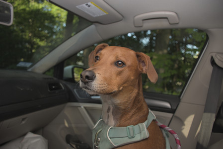 20250808_Dog Park__DSC0302_.jpg