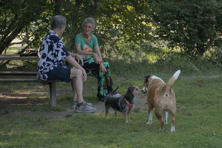 20250810_Dog Park and RC Plane__DSC0084_.jpg