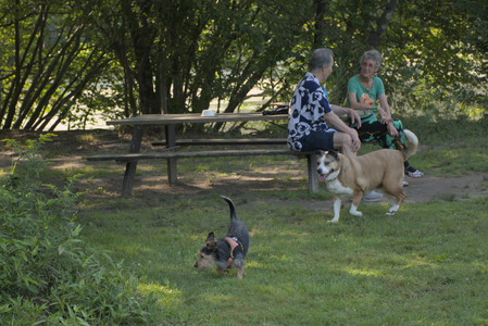 20250810_Dog Park and RC Plane__DSC0085_.jpg