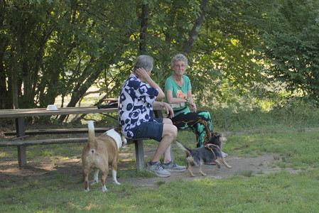 20250810_Dog Park and RC Plane__DSC0091_.jpg