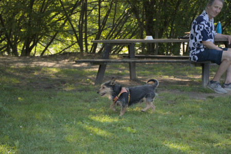 20250810_Dog Park and RC Plane__DSC0094_.jpg
