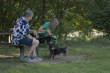 20250810_Dog Park and RC Plane__DSC0111_.jpg