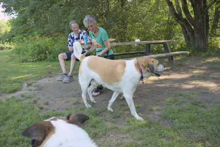 20250810_Dog Park and RC Plane__DSC0132_.jpg