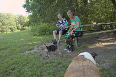 20250810_Dog Park and RC Plane__DSC0133_.jpg