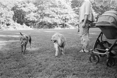 20250811_Film Developed In Class_000010010023_.jpg