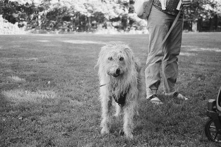 20250811_Film Developed In Class_000010010025_.jpg