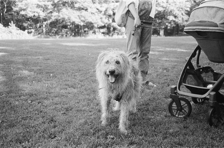 20250811_Film Developed In Class_000010010026_.jpg