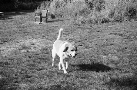 20250811_Film Developed In Class_000010010035_.jpg