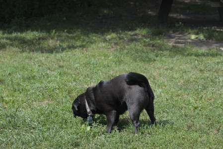 20250824_Dog park and Imby__DSC0009_.jpg