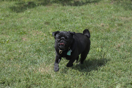 20250824_Dog park and Imby__DSC0010_.jpg