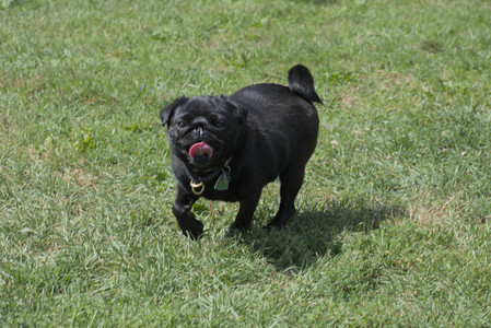 20250824_Dog park and Imby__DSC0013_.jpg