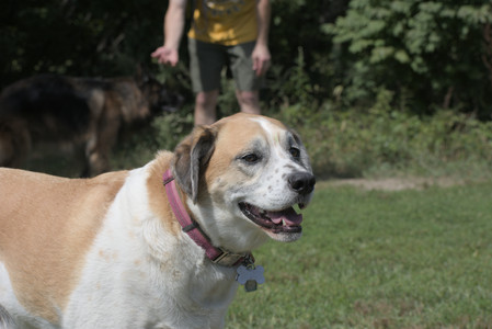 20250824_Dog park and Imby__DSC0015_.jpg