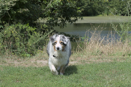 20250824_Dog park and Imby__DSC0016_.jpg