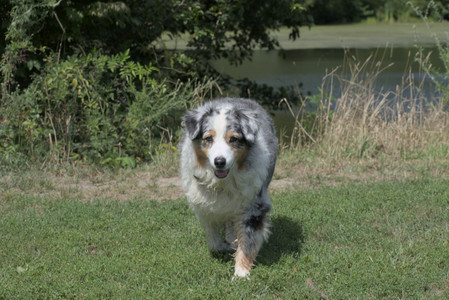 20250824_Dog park and Imby__DSC0017_.jpg