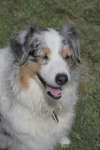 20250824_Dog park and Imby__DSC0020_.jpg