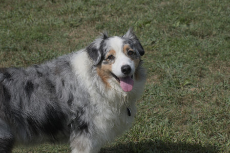 20250824_Dog park and Imby__DSC0023_.jpg