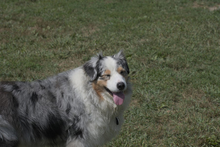 20250824_Dog park and Imby__DSC0024_.jpg