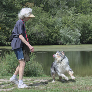 20250824_Dog park and Imby__DSC0027_.jpg