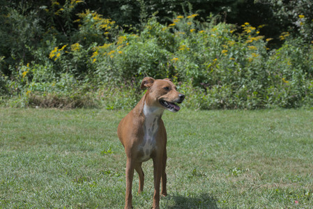 20250824_Dog park and Imby__DSC0033_.jpg