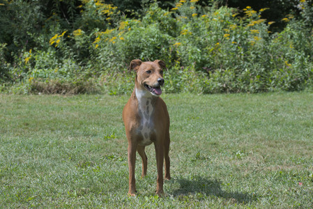 20250824_Dog park and Imby__DSC0035_.jpg