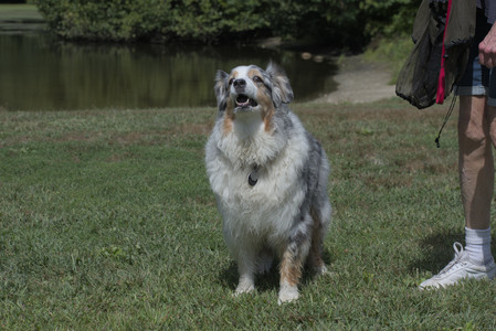 20250824_Dog park and Imby__DSC0037_.jpg