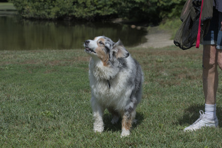 20250824_Dog park and Imby__DSC0038_.jpg