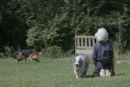 20250824_Dog park and Imby__DSC0044_.jpg