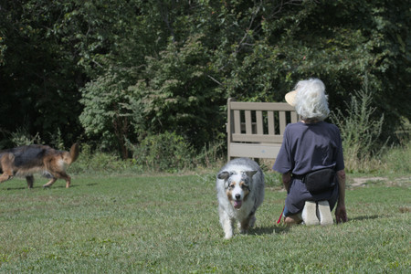 20250824_Dog park and Imby__DSC0045_.jpg