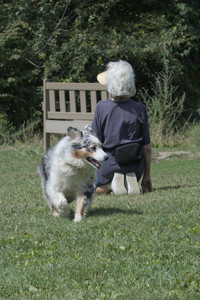 20250824_Dog park and Imby__DSC0047_.jpg