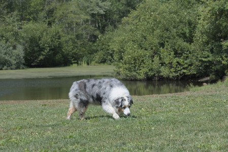 20250824_Dog park and Imby__DSC0048_.jpg