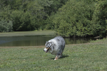 20250824_Dog park and Imby__DSC0050_.jpg