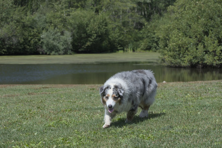 20250824_Dog park and Imby__DSC0051_.jpg