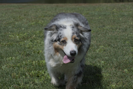 20250824_Dog park and Imby__DSC0054_.jpg