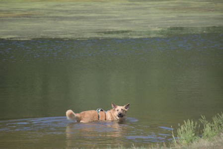 20250824_Dog park and Imby__DSC0055_.jpg