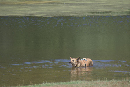 20250824_Dog park and Imby__DSC0056_.jpg